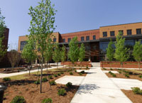 Nursing and Allied Health Quadrangle